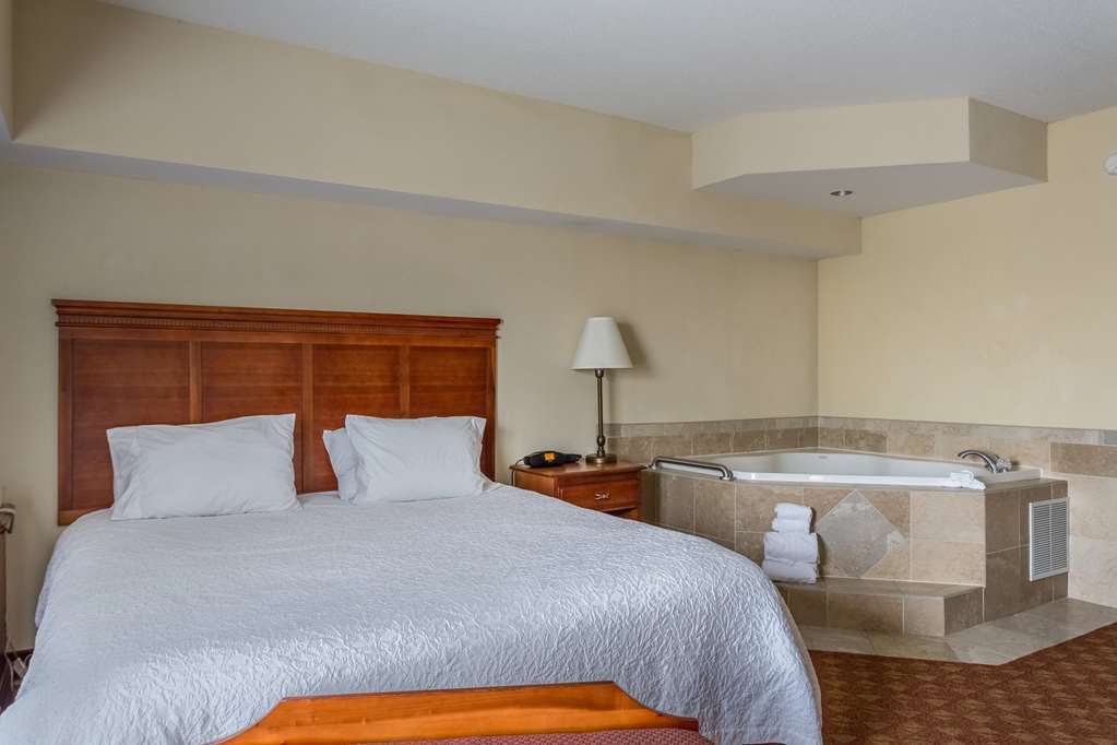 Hampton Inn & Suites Knoxville-Downtown Zimmer foto
